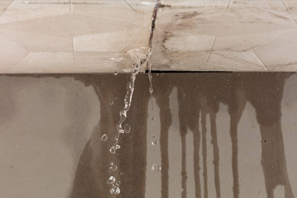 Professional Water Damage Repair technician working in Folsom, PA